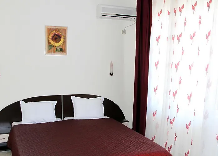 Vlasta Family 酒店 拉夫达